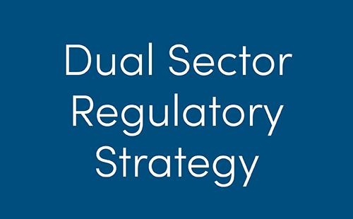 Banner with the text: Dual Sector Regulatory Strategy