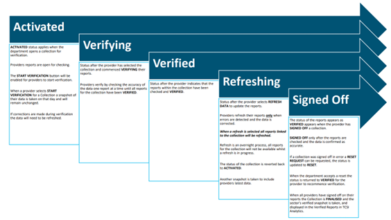 An overview of the verification process TCSI